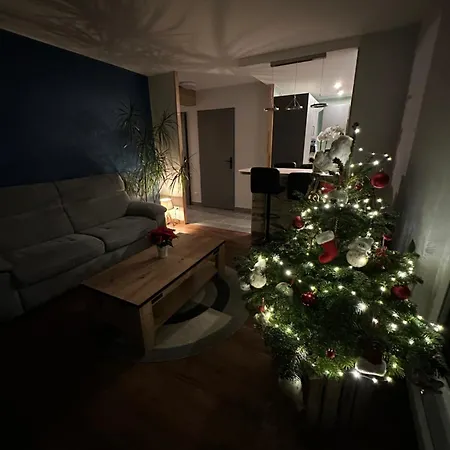 Chez Mathias 2 Bedrooms 2 Beds Cribs Garage Apartament Kaysersberg-Vignoble